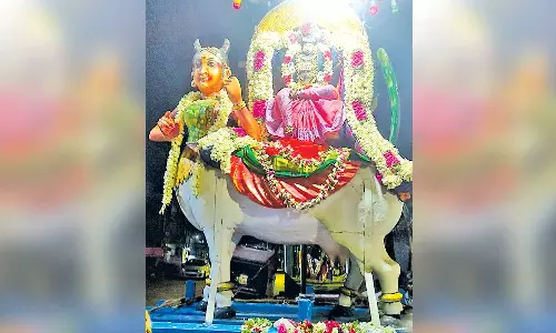 காமதேனு வாகனத்தில் வேதநாயகி அம்மன் வீதி உலா
