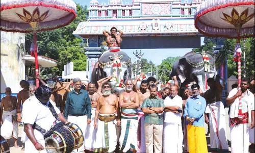 ஸ்ரீரங்கம் ரெங்கநாதர் கோவில் சக்கரத்தாழ்வார், காட்டழகிய சிங்கப்பெருமாளுக்கு ஜேஷ்டாபிஷேகம்