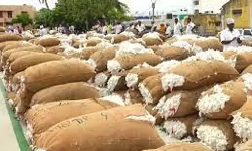 ஒழுங்குமுறை விற்பனை கூடத்தில் ரூ.46 லட்சத்துக்கு பருத்தி ஏலம்