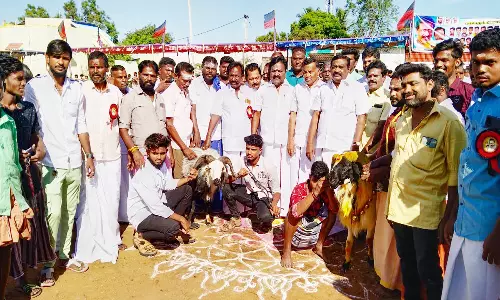 ராமராஜபுரத்தில் கிடாமுட்டு போட்டி