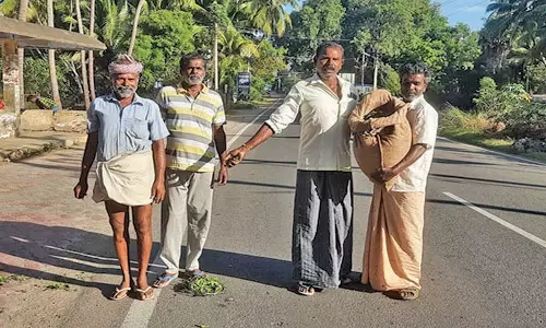 நடுரோட்டில் விவசாயிகள் நெல் விதைக்கும் போராட்டம்