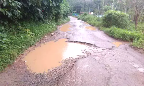 கூடலூரில் குண்டும், குழியுமான சாலைகள்