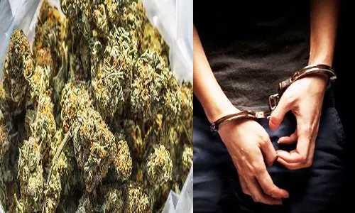 கஞ்சா வைத்திருந்த 3 வாலிபர்கள் கைது