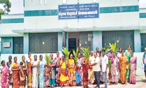 பரமத்தி வட்டாரத்தில் விவசாயிகளுக்கு தென்னங்கன்றுகள் விநியோகம்