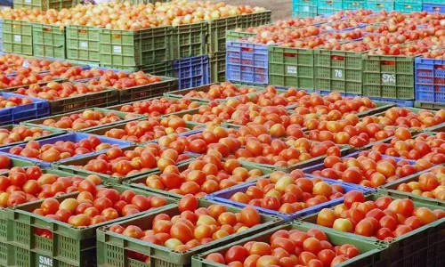 குறைந்த விலையில் தக்காளி விற்பனை