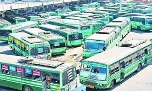 சேலம் கோட்டம் சார்பில் 250 சிறப்பு பஸ்கள் இயக்கம்