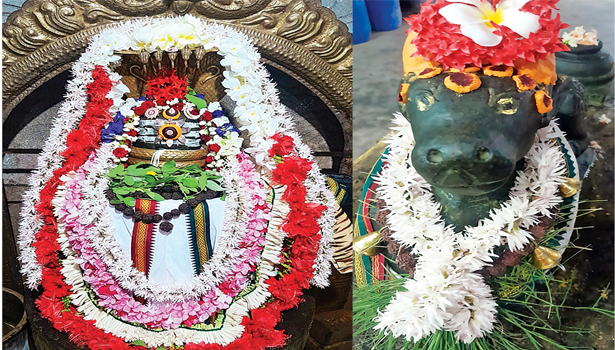 சிவன் கோவில்களில் பிரதோஷத்தை முன்னிட்டு நந்தி பெருமானுக்கு சிறப்பு அபிஷேக ஆராதனை