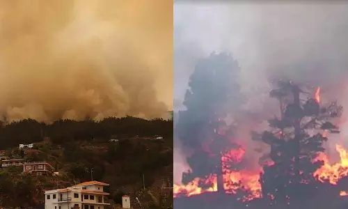 ஸ்பெயினில் வேகமாக பரவும் காட்டுத்தீ.. லா பால்மா தீவில் இருந்து 2500 மக்கள் வெளியேற்றம்