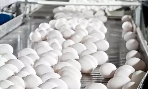 நாமக்கல் மண்டலத்தில் 6 நாட்களில் முட்டை விலை 30 காசுகள் உயர்வு- 460 காசுகளாக நிர்ணயம்