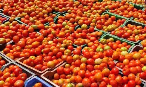 சித்தூர் உழவர் சந்தையில் ஒரு கிலோ தக்காளி ரூ.50-க்கு விற்பனை- 3 மணி நேரத்தில் 3 டன் தக்காளி விற்று தீர்ந்தது