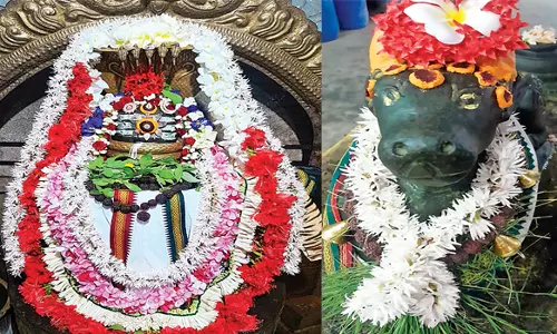 சிவன் கோவில்களில் பிரதோஷத்தை முன்னிட்டு நந்தி பெருமானுக்கு சிறப்பு அபிஷேக ஆராதனை