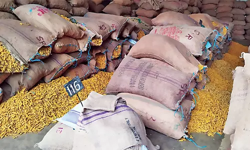 திருச்செங்கோட்டில் மஞ்சள் ஏலம்