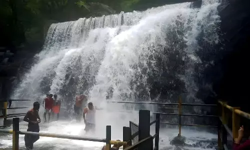 ஒரு வாரத்திற்கு பிறகு சுருளி அருவியில் குளிக்க சுற்றுலா பயணிகளுக்கு அனுமதி