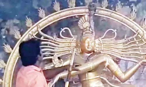 சீர்காழியில் நடராஜர் சிலையின் மீது படமெடுத்து ஆடிய 5 அடி நீள நாகபாம்பு