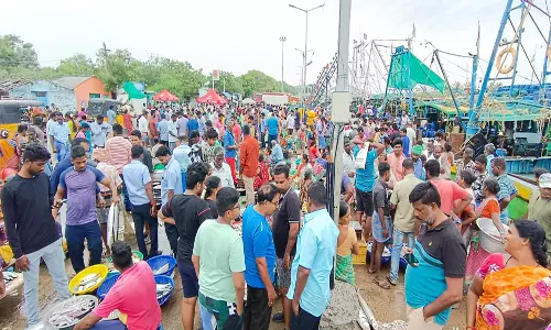 கடலூர் துறைமுகத்தில் மீன்கள் விலை உயர்வு