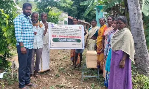 தேனீ வளர்ப்பு குறித்து பயிற்சி