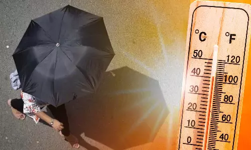 நெல்லையில் அனல் காற்றுடன் மீண்டும் சுட்டெரிக்கும் வெயில்