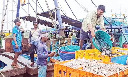 நாகையில், மீன் வாங்க குவிந்த கேரளா வியாபாரிகள்