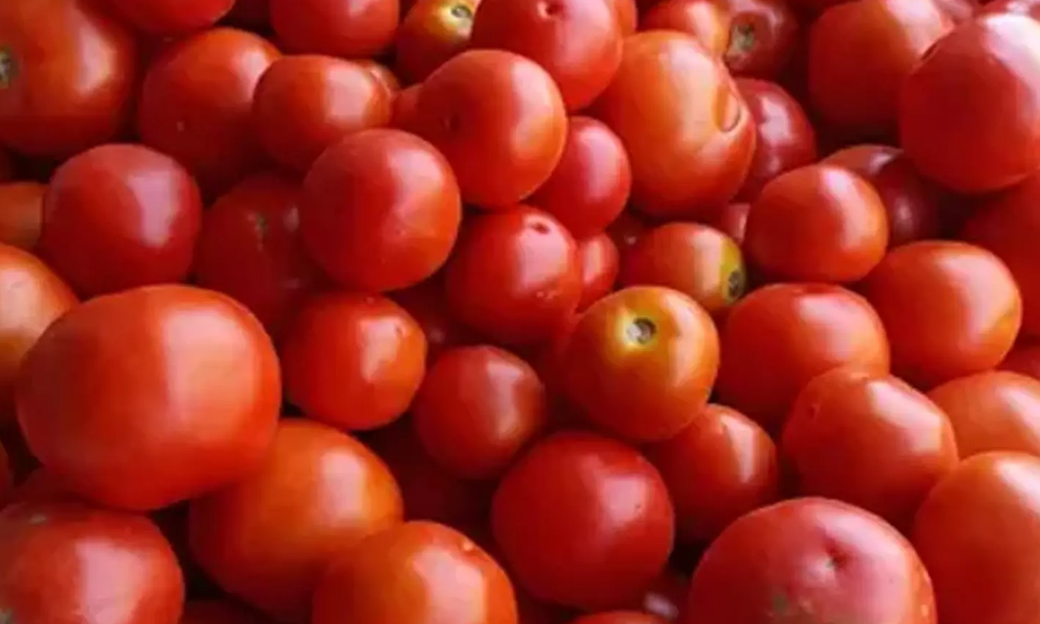 கடலூர் முதுநகரில் தக்காளியை கிலோ ரூ.30-க்கு விற்பனை செய்த வியாபாரி