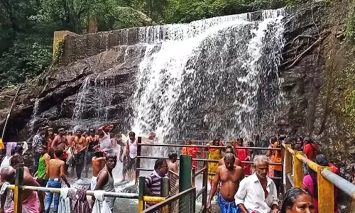 ஆடி அமாவாசை: சுருளி அருவியில் முன்னோர்களுக்கு தர்ப்பணம் செய்து வழிபாடு