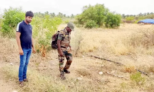 பல்லடம் அருகே சிறுத்தை நடமாட்டம்? - வனத்துறையினர் ஆய்வு