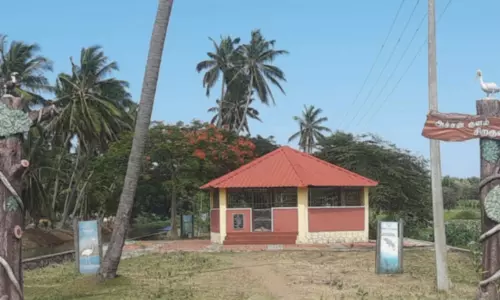 சுகாதார சீர்கேடுகளால் அச்சன்குளத்துக்கு வெளிநாட்டு பறவைகள் வரத்து குறைந்தது