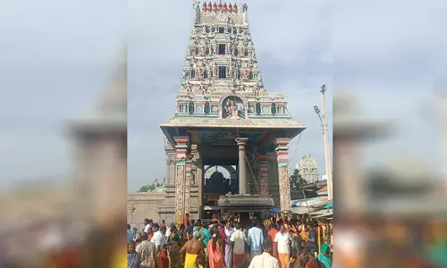 ஆடி அமாவாசையை முன்னிட்டுமேச்சேரி பத்திரகாளியம்மன் கோவிலுக்கு ஏராளமான பக்தர்கள் வருகை