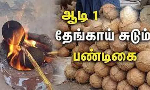 இன்று ஆடி மாத பிறப்பு தேங்காய் சுடும் பண்டிகைக்கு  அழிஞ்சி குச்சி விற்பனை தீவிரம்
