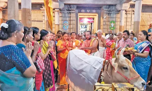 ஆடிமாத பிறப்பையொட்டி பாளை ராஜகோபால சுவாமி கோவிலில் கோ பூஜையுடன் விஸ்வரூப தரிசனம்