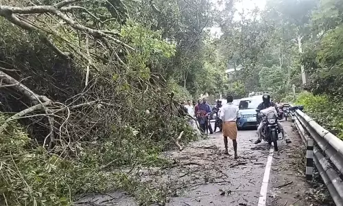 கோத்தகிரி மலைப்பாதையில் நடுரோட்டில் ராட்சத மரம் முறிந்து விழுந்தது