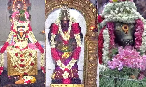 அமராபதீஸ்வரர் கோவிலில் சனிப்பிரதோஷ வழிபாடு