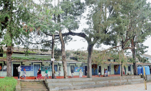 ஊட்டி நகராட்சி பள்ளியில் தேங்கும் கழிவுநீரை அகற்ற கோரிக்கை