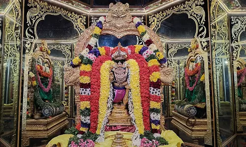 திருவதிகை சரநாராயண பெருமாள் கோவிலில் அமாவாசைசிறப்பு பூஜை