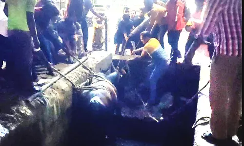 ஓசூரில் கழிவு நீர் கால்வாயில் விழுந்து தவித்த மாடு