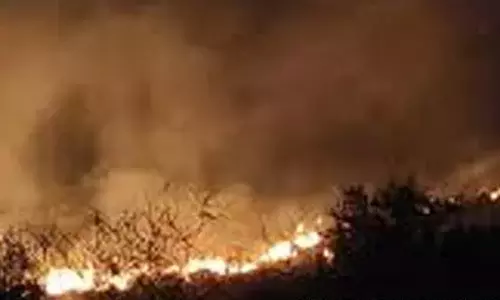 சதுரகிரி மலைப்பகுதியில் காட்டுத்தீ - நாளை பக்தர்கள் கோவிலுக்கு செல்ல தடை