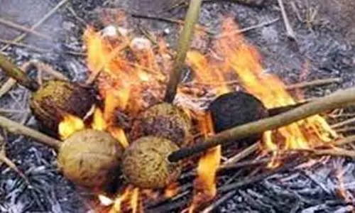 ஆடி பண்டிகையை முன்னிட்டு தேங்காய் சுட்ட பொதுமக்கள்