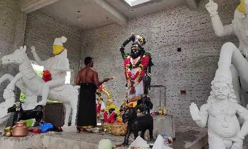 ஆடி அமாவாசையை முன்னிட்டு பெரிய கருப்பசாமி கோவிலில் மிளகாய் யாகம்