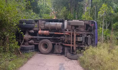 பாச்சலூர் அருகே மலைச்சாலையில் தலைகுப்புற கவிழ்ந்த மண் லாரி