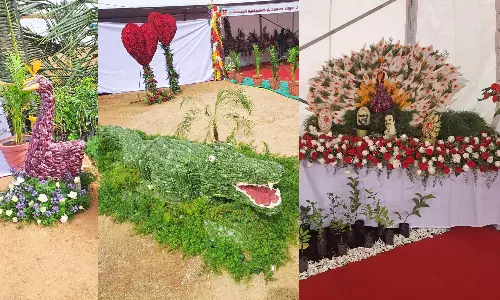 ஜவ்வாது மலை கோடை விழா