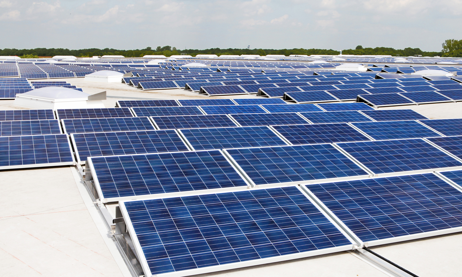 வடமதுரை, அய்யலூர் பகுதியில் விவசாய நிலங்களில் சோலார் பேனல்கள் அமைக்கும் பணி