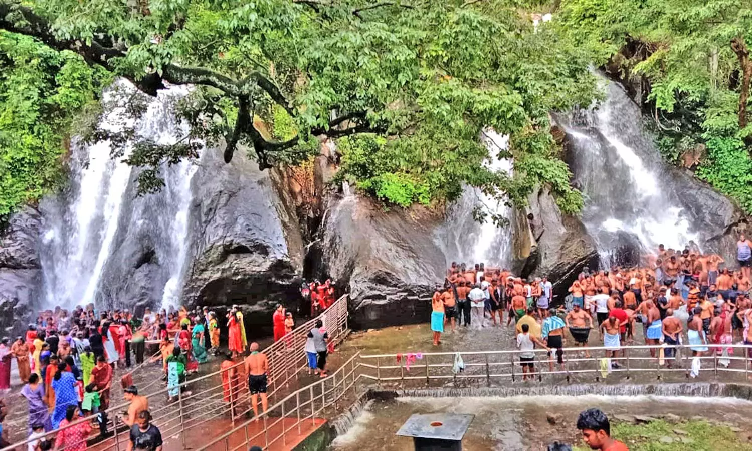 சாரல் மழையால் குற்றாலம் அருவிகளுக்கு நீர்வரத்து அதிகரிப்பு- சுற்றுலா பயணிகள் உற்சாக குளியல் சாரல் மழையால் குற்றாலம் அருவிகளுக்கு நீர்வரத்து அதிகரிப்பு- சுற்றுலா பயணிகள் உற்சாக குளியல்