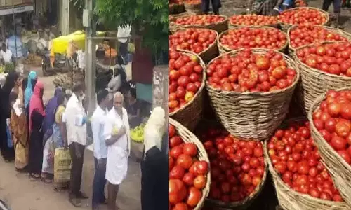 ஆந்திராவில் தக்காளி கிலோ ரூ.50-க்கு விற்ற விவசாயி- 2 கிலோ மீட்டர் வரிசையில் நின்று வாங்கிய பொதுமக்கள்