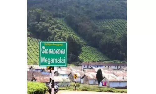 ஹைவேவிஸ் பேரூராட்சியில் மக்கள் பிரச்சினைகள் ஏராளம்