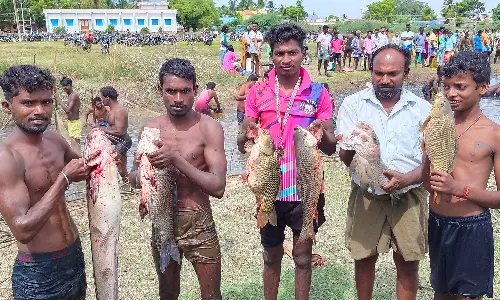 சாணார்பட்டி அருகே சிறு குளத்தில் மீன் பிடி திருவிழா