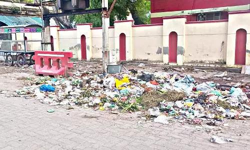 சாலையில் தேங்கும் குப்பைகள்- கழிவு நீரால் கடும் துர்நாற்றம்