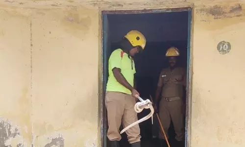 அரசு மேல்நிலைப்பள்ளி கழிவறைக்குள் புகுந்த பாம்பு