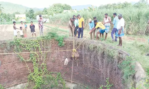 கிணற்றில் தவறி விழுந்த மான் உயிருடன் மீட்பு