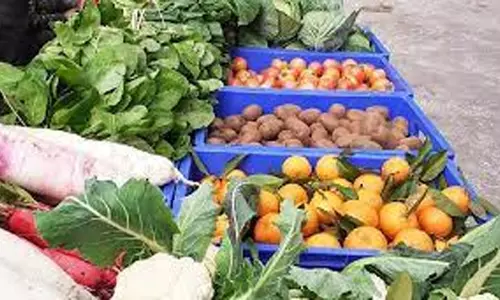 விலை உயர்வை கண்டித்துகாய்கறிகளுக்கு பால் ஊற்றி போராட்டம்