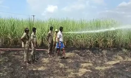 தரிசு நிலத்தில் தீ விபத்து: கரும்பு, வாழை தோட்டம் தப்பியது