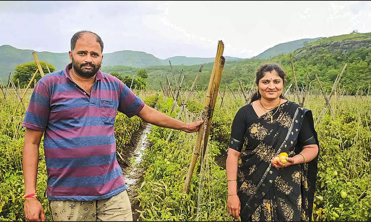 ஒரே மாதத்தில் கோடீசுவரர் ஆன தக்காளி விவசாயி: ரூ.3 கோடி சம்பாதித்த அதிசயம் ஒரே மாதத்தில் கோடீசுவரர் ஆன தக்காளி விவசாயி: ரூ.3 கோடி சம்பாதித்த அதிசயம்